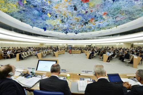 A general view of participants during the 29th Regular Session of the Human Rights Council. 3 July 2015. UN Photo / Jean-Marc Ferr